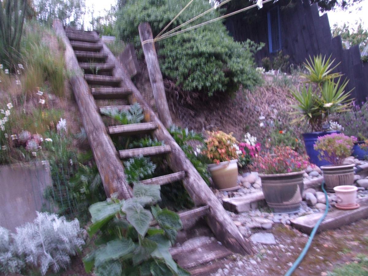 Annie'S Bnb At 7C Renwick Exterior photo